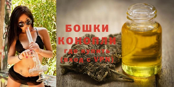 ГАЛЛЮЦИНОГЕННЫЕ ГРИБЫ Чердынь