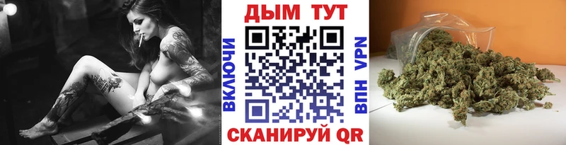 Конопля семена  где купить наркоту  Невель 